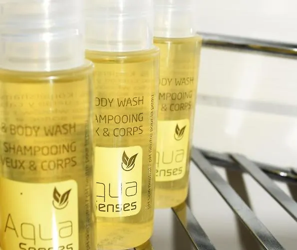 酒店 Hotel- Restaurant Kerzan's 2*