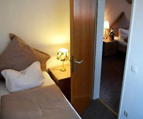 酒店 Hotel- Restaurant Kerzan's 2*